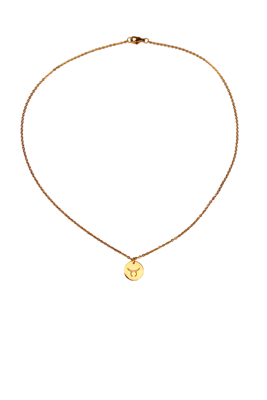 Zodiac Sign Necklace